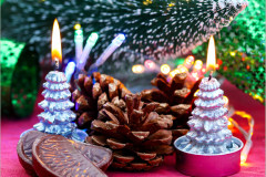 Alwena Evans - Monthly Challenge - December 2024
