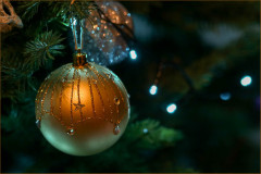 1_Macro_Bauble