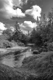 Daydreams-of-River-streams-