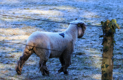 OH_ITS_A_COLD_DAY