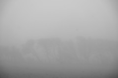 Image_Subdued_scene