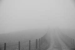Image_Subdued_self