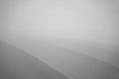 Image_Subdued_sun