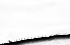 IM_SITTING_ON_THE_FENCE
