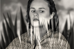 Budgie Bear - Monthly Challenge - June 2025