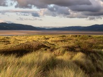 Interglacial__8070245
