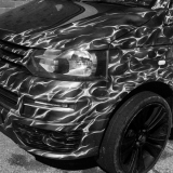 Dark-Flames