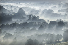 Freedom_in_the_Countryside