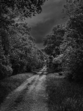 Black-bell