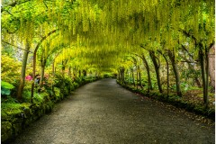 Clive Tonkins - Monthly Challenge - May 2024