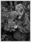 Plucking_hell_A240018_Edit_