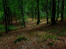 Follow_the_path-9140074