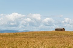 The-Abandoned-Barn