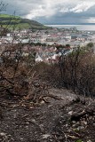 The-Burnt-Remains