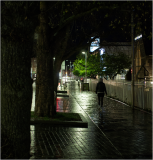 Walking Home