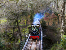 D.-Talyllyn-Steam-Train-Dolgoch-Station