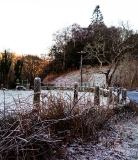 FROST_FENCES