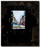 The_Street_You_See