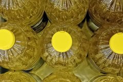 Kevin Holland - Monthly Challenge - April 2025