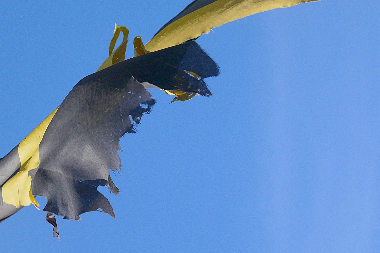 Up_in_the_air_for_too_long