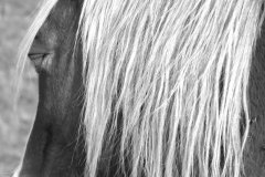 Kevin Holland - Monthly Challenge - February 2025