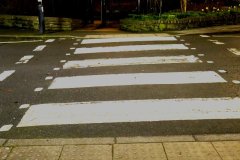 The_lesser_spotted_zebra_crossing