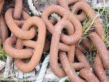 Free_at_last_Holland