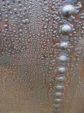Holland_Frozen