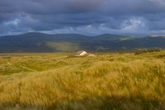 Alone-In-The-Sand-Dunes