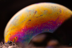 Laura Shannon - Monthly Challenge - January 2025