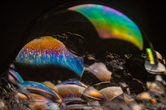 Sea_Life