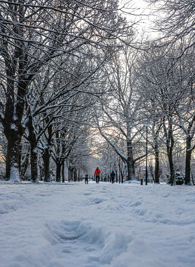 Winter_Wonderland