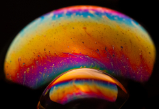 Psychedelic_Mushroom