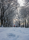 Winter_Wonderland