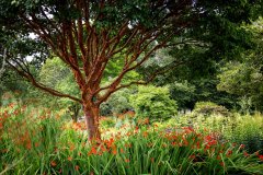 Gardenland