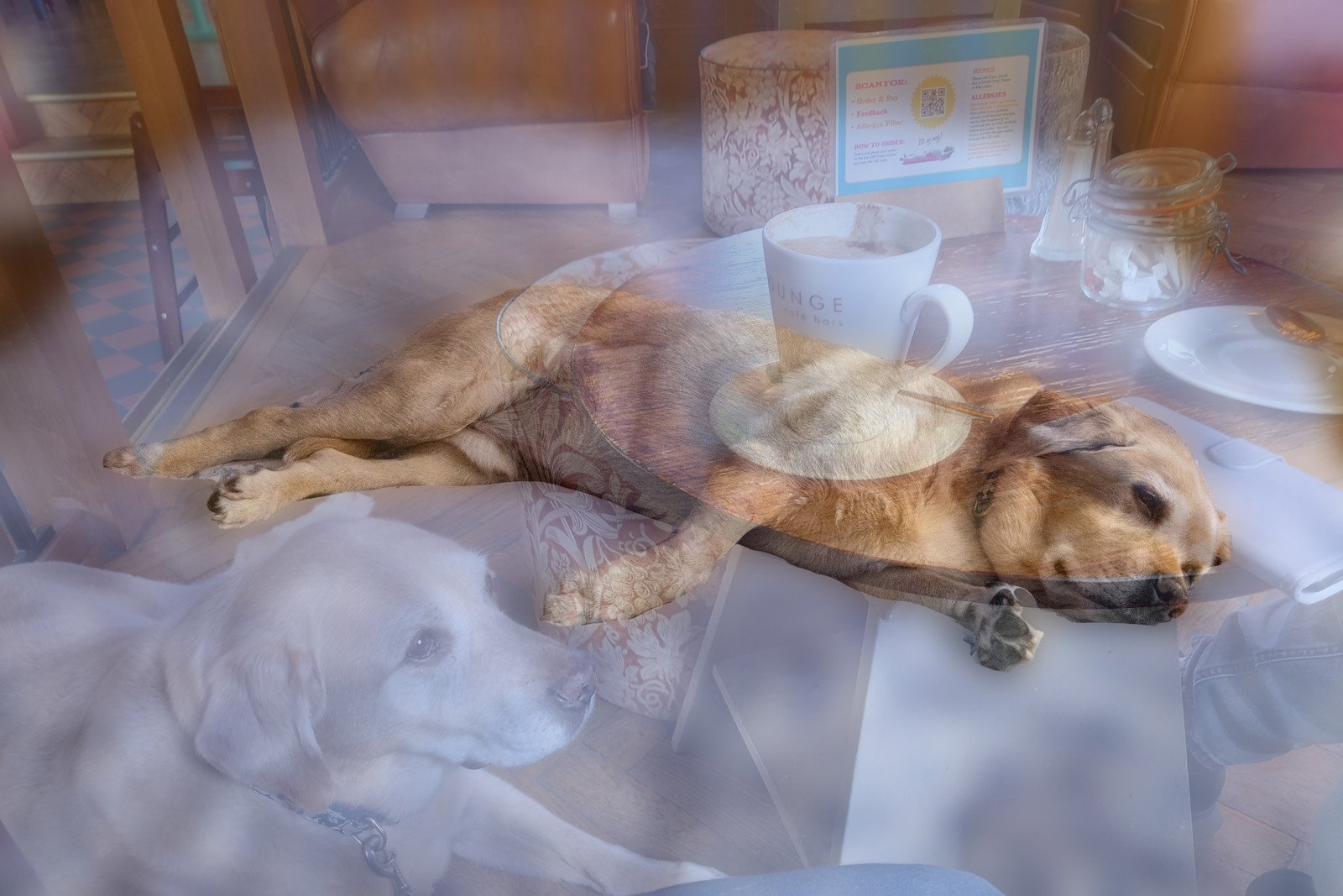 Trains_of_thought_Three_I_could_insist_on_going_out_for_coffee