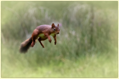 Weeeeeeeeeee