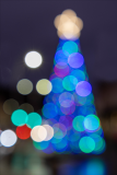 BOKEH_TREE
