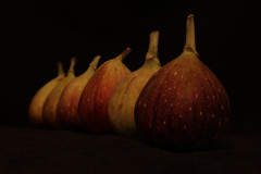 Figgies_without_the_pudding