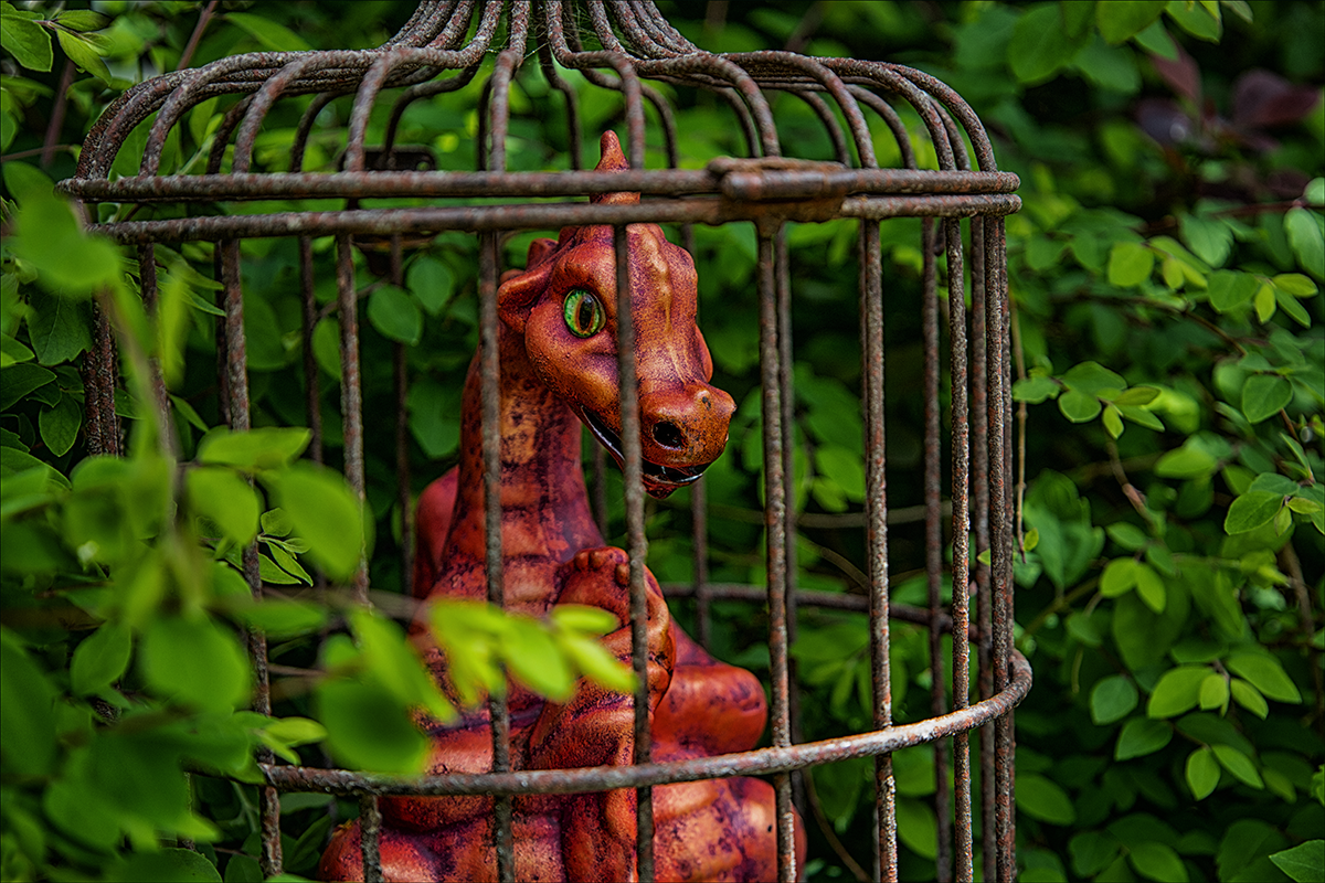 Dragon-in-a-cage