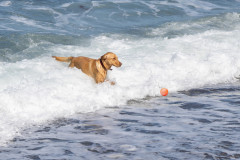 There_now_next_time_dont_throw_it_so_far