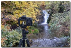 Live_view