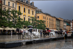 Lonnie Morris - Monthly Challenge - September 2025