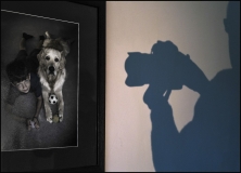 B-Shadow