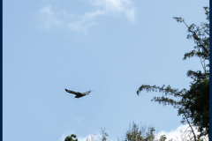 Martin Hursthouse - Monthly Challenge - August 2025