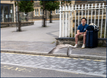 Watch_the_Birdie