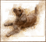 Jax