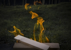 A.-My-Old-Flame