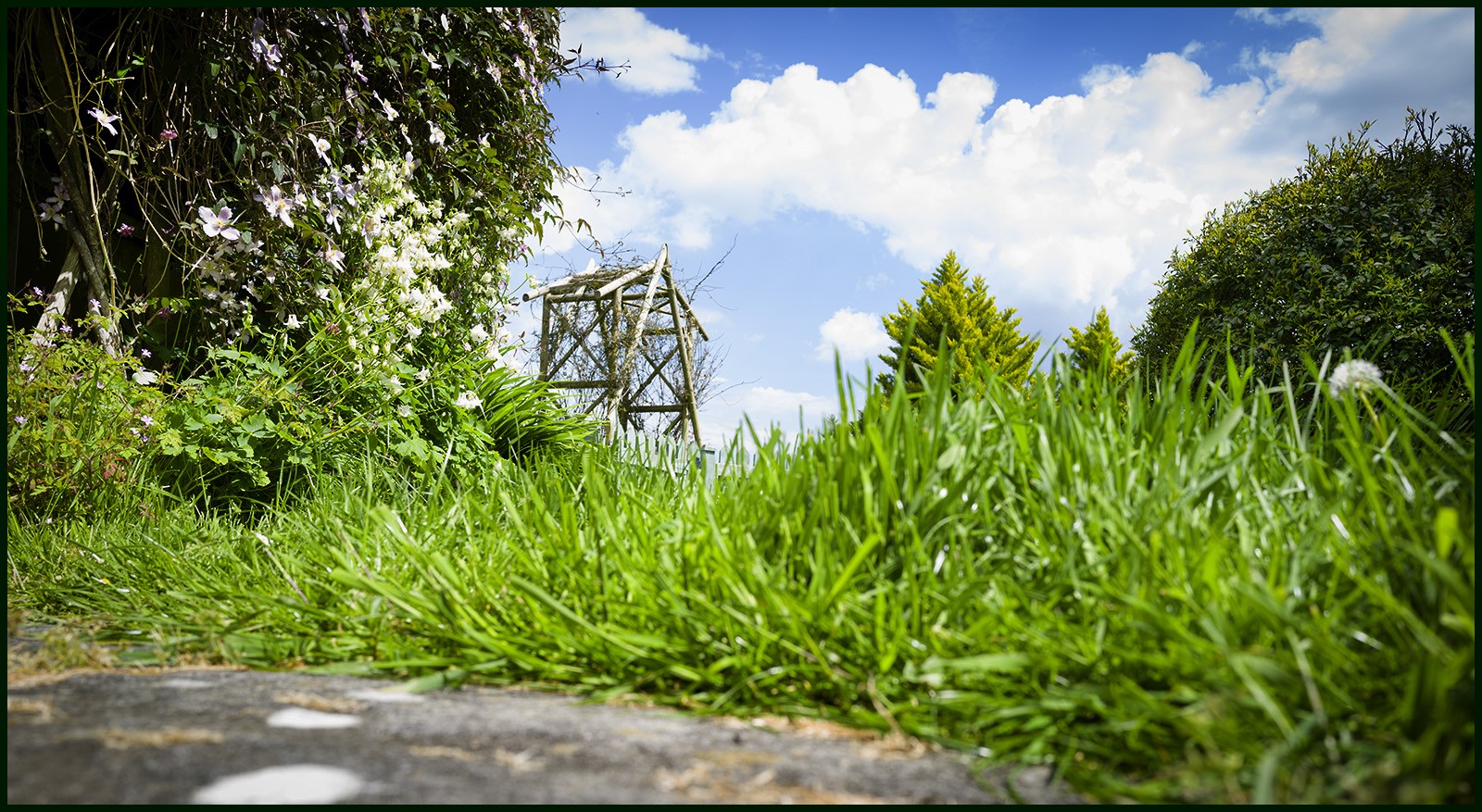 A.-Grassed-up