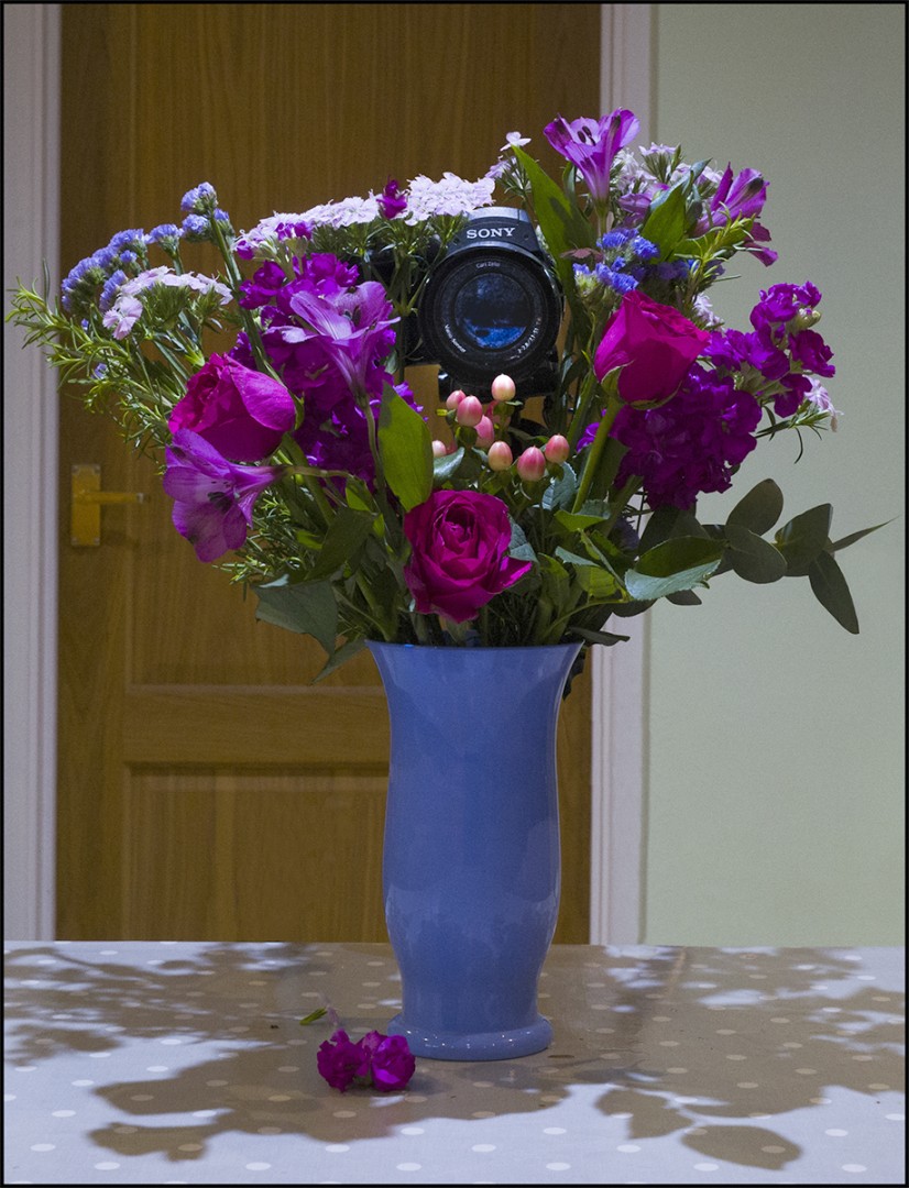 D.-tsony-a-camera